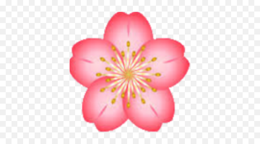Imagescherry Blossom - Roblox Flower Cherry Blossom Clipart Png,Cherry Blossoms Png