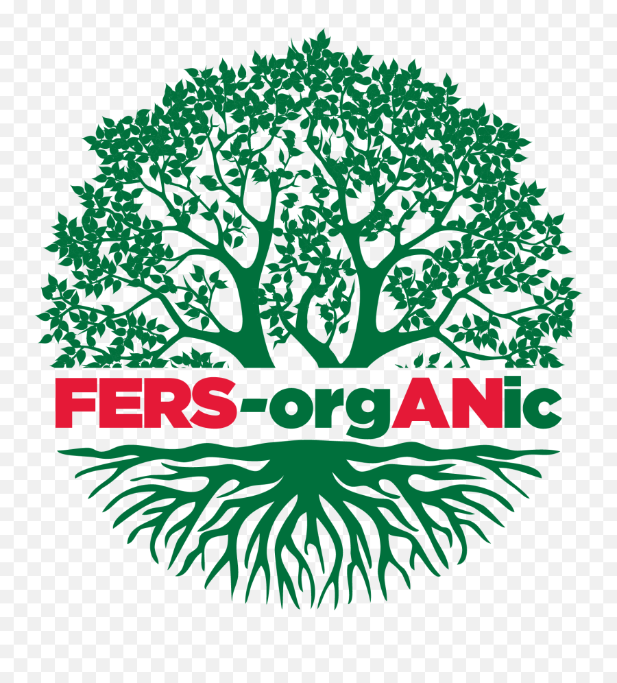 Fers - Organic U2013 Newport Fersan Jamaica Limited Tree Png,Organic Logo