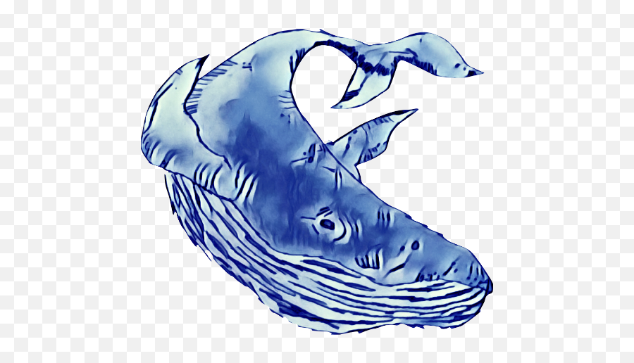 Blue Whale Trading Company - Blue Whale Trading Company Png,Blue Whale Png