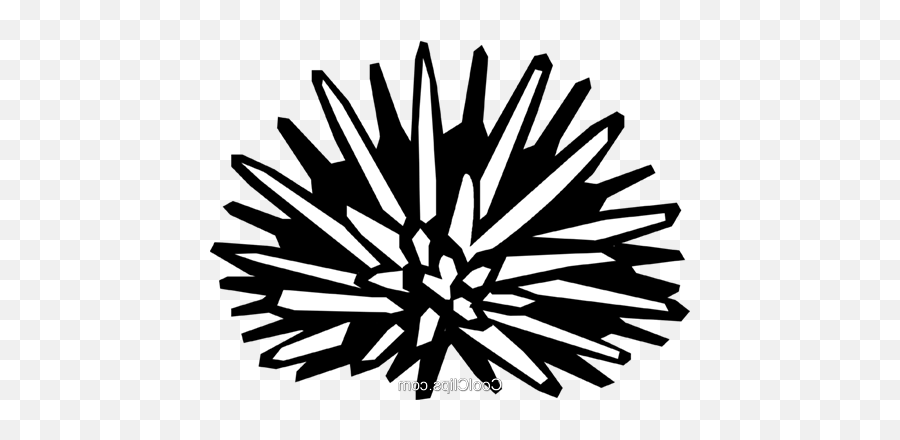 Sea Urchin Royalty Free Vector Clip Art Illustration - Clip Png,Sea Urchin Png