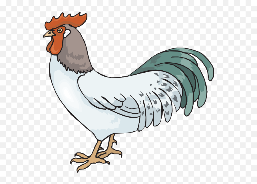 Farm Rooster Clip Art - Rooster Clipart Transparent Rooster Png Clipart,Rooster Png