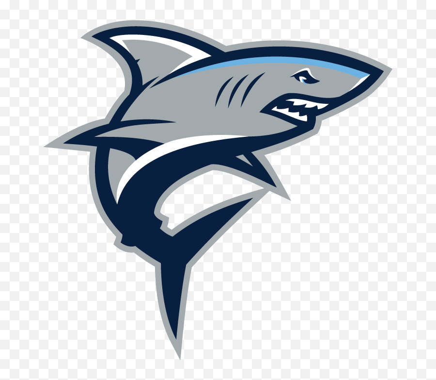 Mantap - Sharks Colgan High School Png,Shark Logo Png