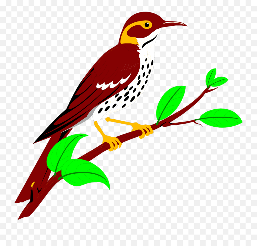 Brownish Red Thrush Free Stock Illustration Of - Woodpecker Animated Bird Png,Woodpecker Png