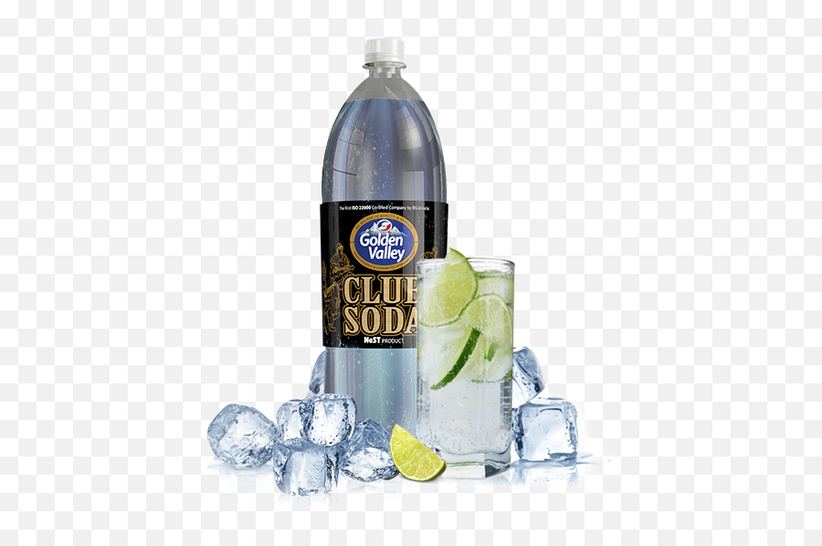 Golden Valley Club Soda In - Gin And Tonic Png,Soda Png