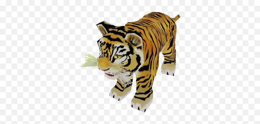 Pc Computer - Zoo Tycoon 2 Bengal Tiger Cub The Models Tiger Zoo Tycoon 2 Png,Bengal Tiger Icon