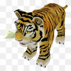 Pc Computer - Zoo Tycoon 2 Bengal Tiger Cub The Models Tiger Zoo Tycoon 2 Png,Bengal Tiger Icon