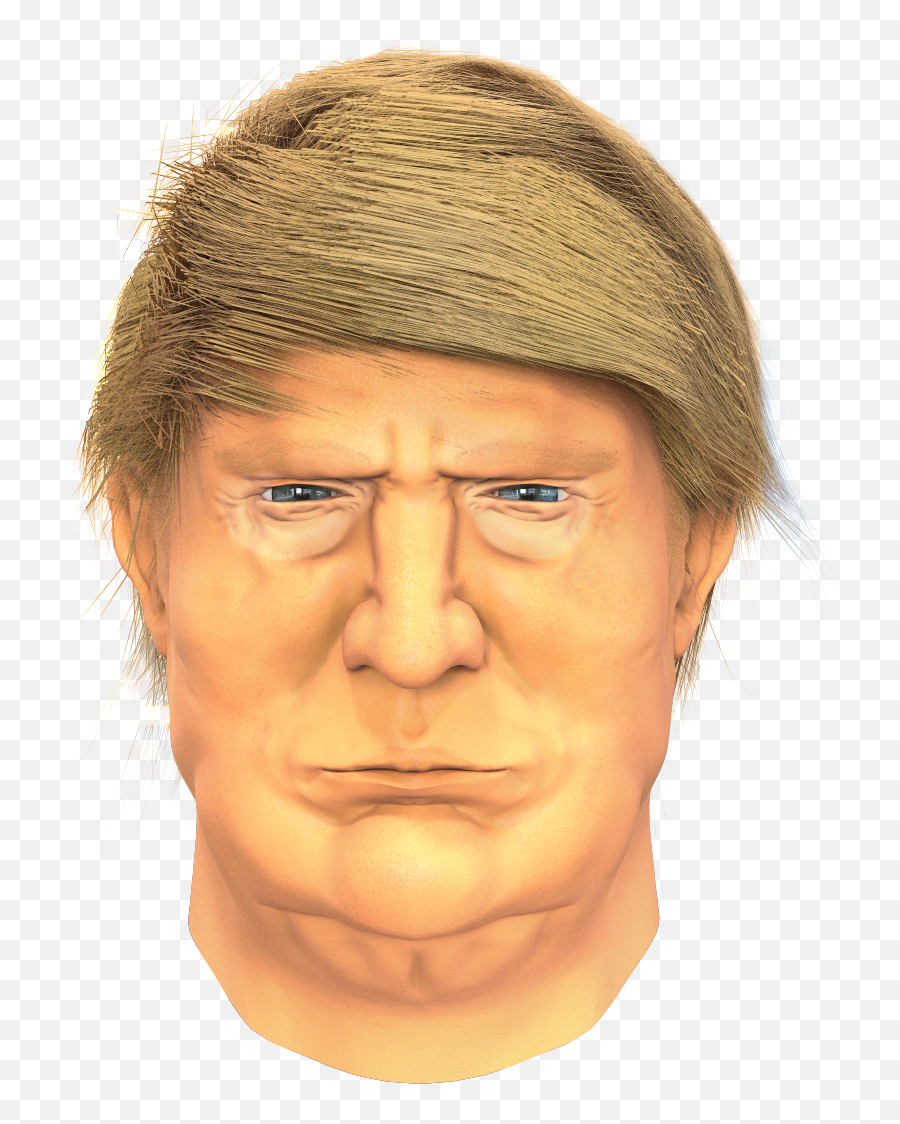 Donald Trump Head Sculpt Critique Please 3dmodeling Png Transparent