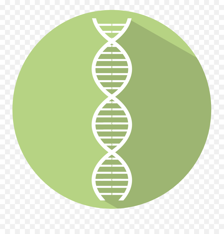 Filegreen Dna Iconsvg - Wikimedia Commons Icon Green Dna Png,Dna Icon Transparent