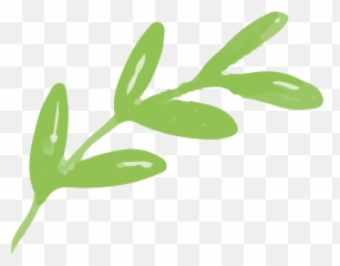 Home - Chinaberry Tree Linens And Gifts Rough Hill Farm Shop Png,Small Leaf Icon