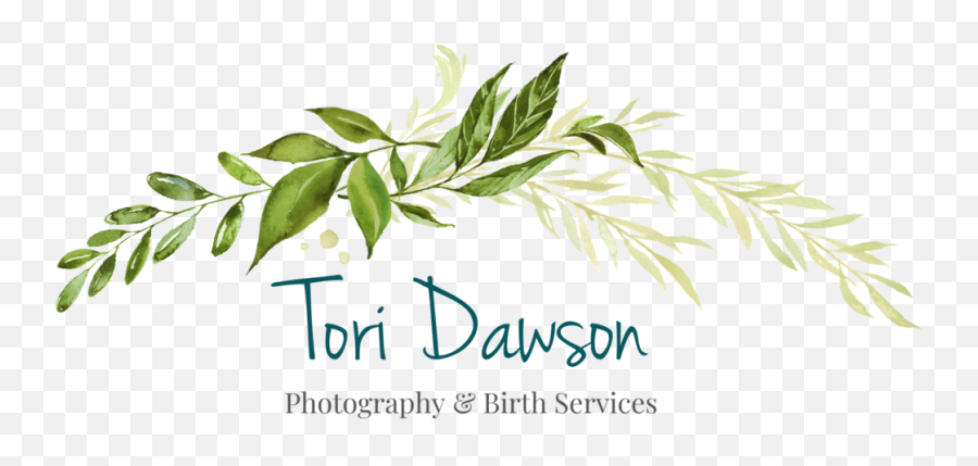Family Photos With Your Phone U2014 Tori Dawson Photography - Dress Png,Wreath Icon Greek