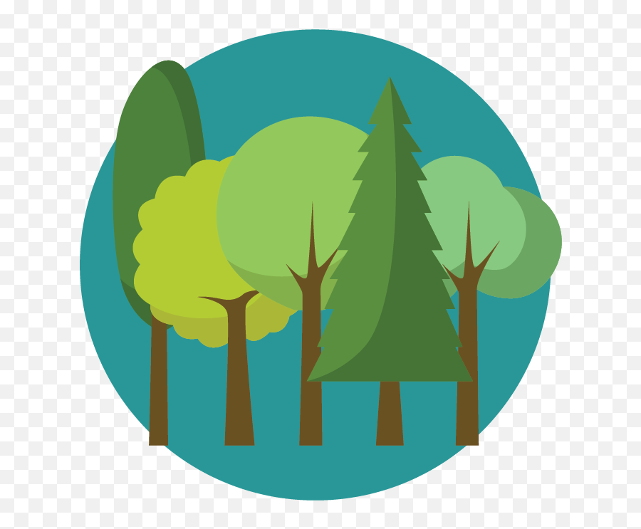 Page Timeout Error - Gibson Lamb Temperate Coniferous Forest Png,Timeout Icon