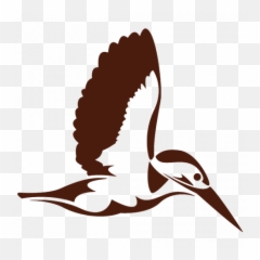 Duck Goose Swan Bird Png Image With Transparent Background - Flying Kingfisher Silhouette,Humming Bird Png