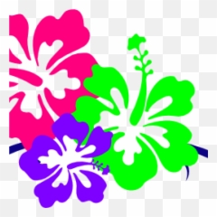 Hawaiian Flower Clip Art Borders - png