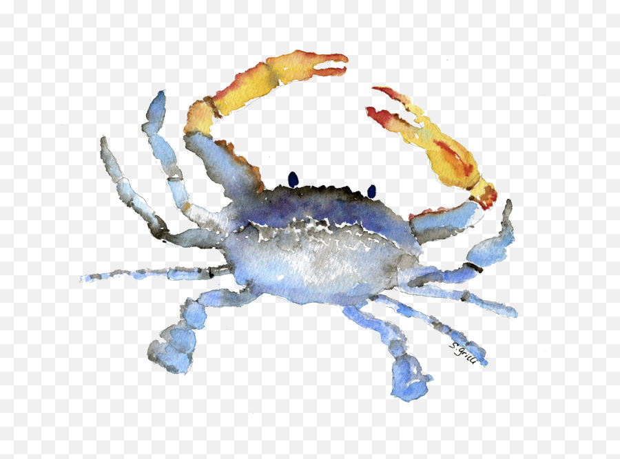 Download Cornelius The Crab Watercolor - Watercolor Crab Transparent Background Png,Crab Transparent Background