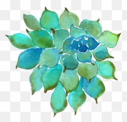 Watercolor Succulent Png Image - Suculentas En Acuarela,Succulent Png
