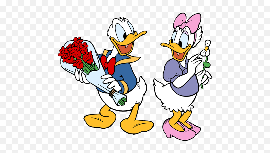 Donald - Daisyflowerspng 521432 Pixels Disney Duck Donald And Daisy Duck Png,Daisy Duck Png