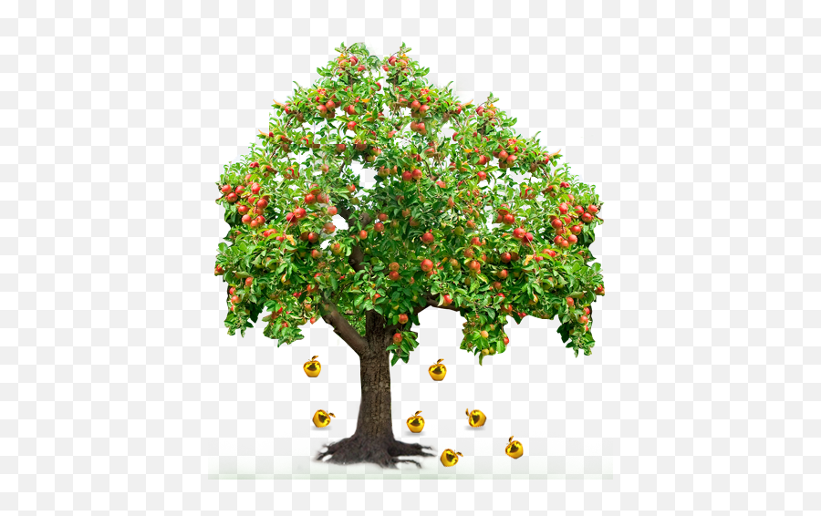 Apple Tree Clipart Png Images - Tree With Many Fruits,Fruit Tree Png