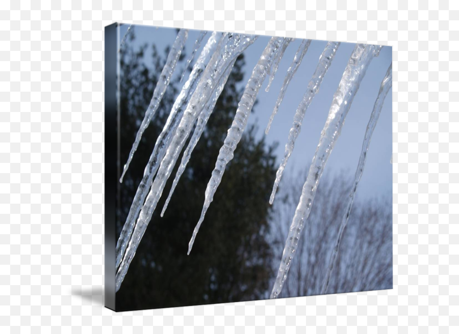Icicles Png - Icicle,Icicles Transparent