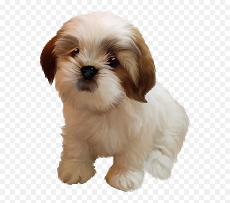 Shih Tzu Puppy Png Image Mart - Shih Tzu Puppy Png,Cute Puppy Png