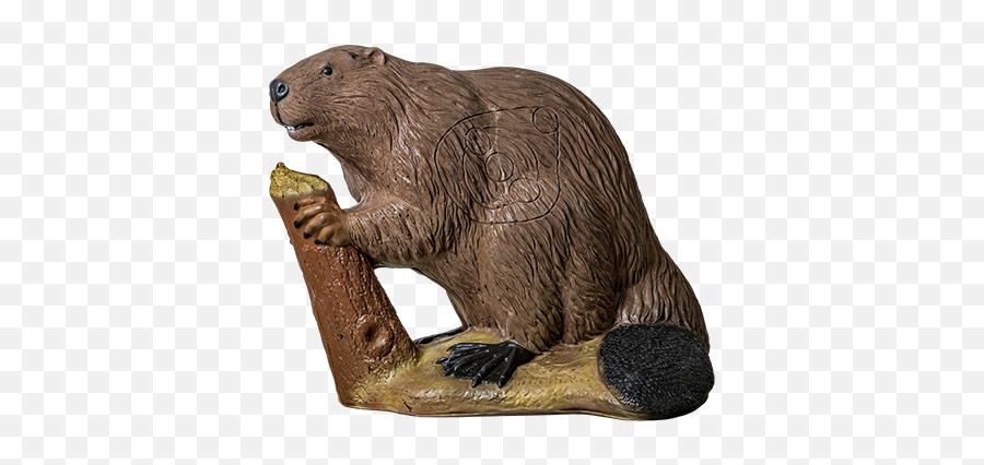 Beaver - Rinehart3d Punxsutawney Phil Png,Beaver Png