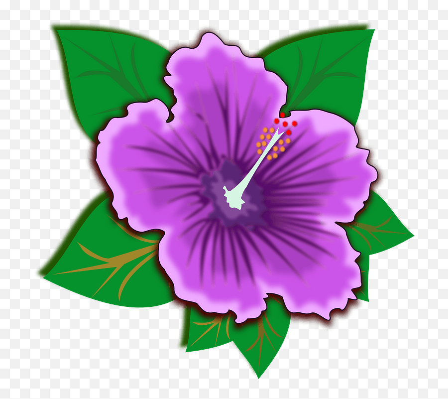 Purple Hawaiian Hibiscus Flower Clipart Free Download - Rainforest Plants Clip Art Png,Hawaiian Png