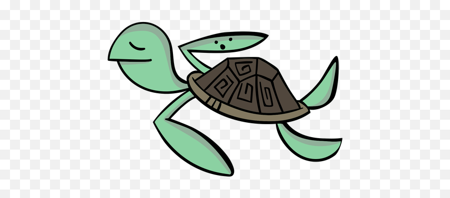 Turtle Character Stylish Cartoon - Transparent Png U0026 Svg Tortuga Dibujo Png,Turtle Transparent
