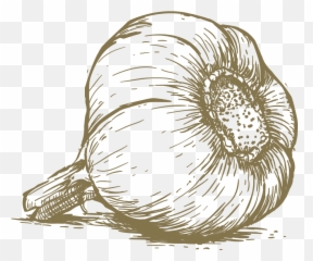 Flinders Black Garlic U2014 Willow Creative - Photography Png,Garlic Png