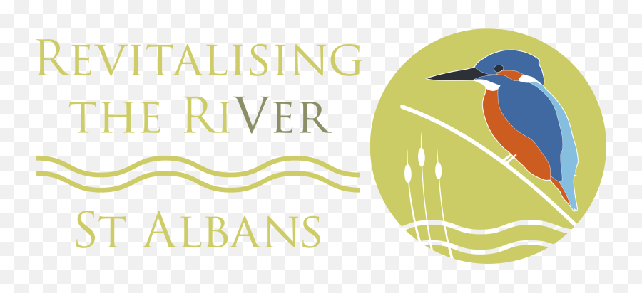 River Graphic Png - Revitalising The River Logo Woodpecker,Woodpecker Png