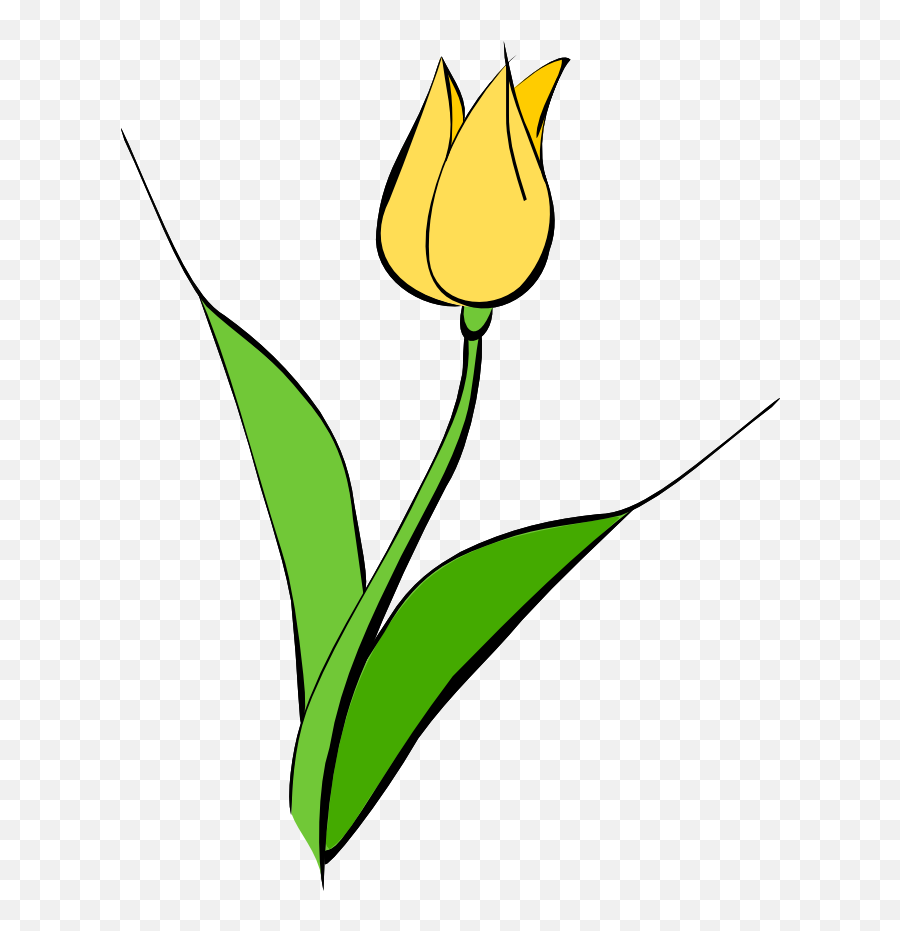 Free Yellow Flower Clipart Download - Yellow Tulips Flower Drawing Png,Green And Yellow Flower Logo