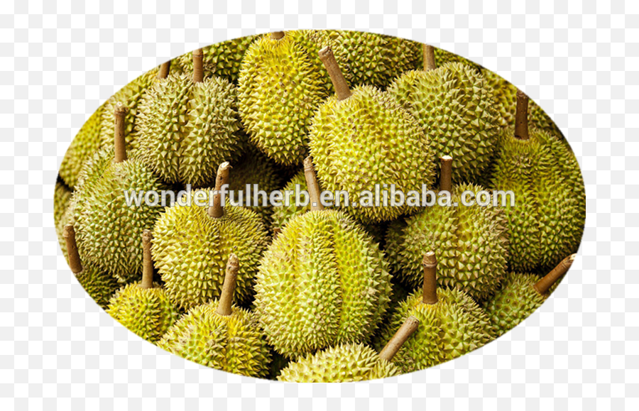 Download Durian Pulp Yellow Viscous - Palais La Médina Restaurant Png,Durian Png