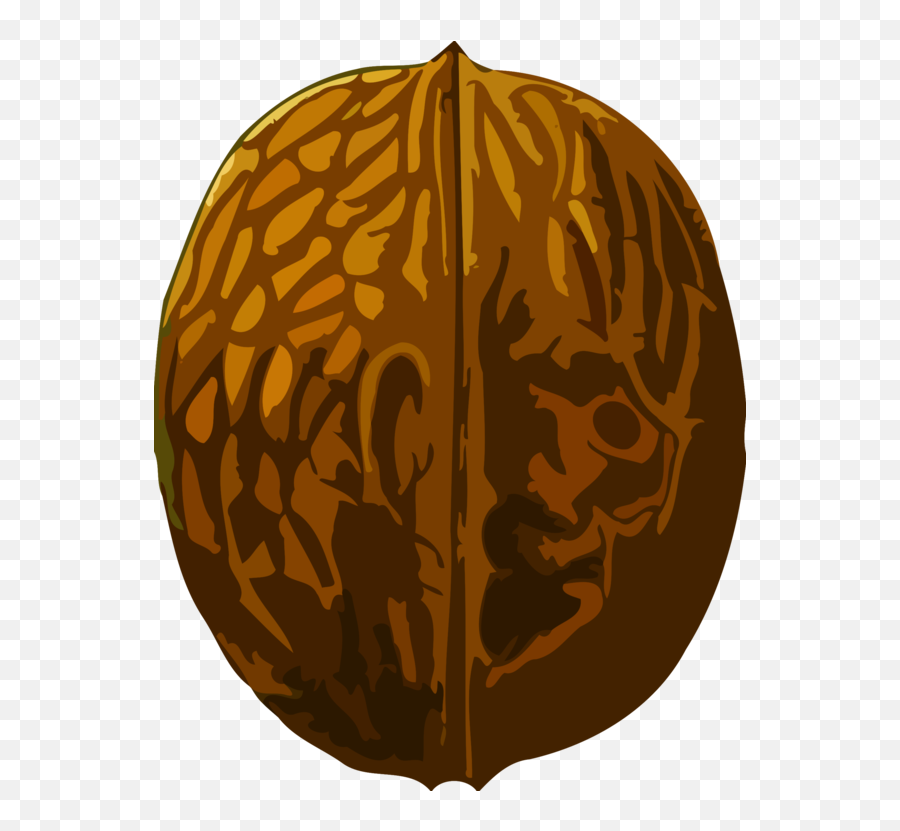 Leafgourdcalabaza Png Clipart - Royalty Free Svg Png Walnut Clip Art,Calabaza Png