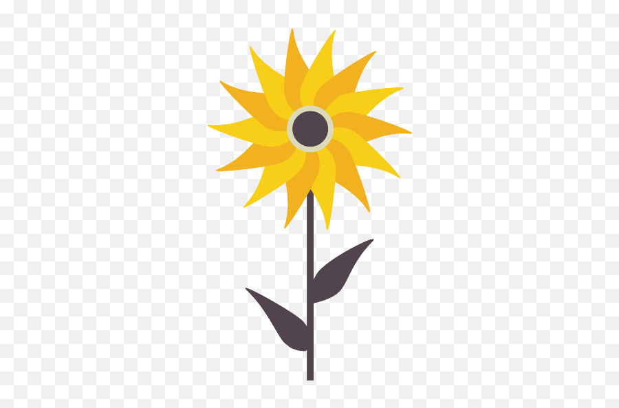 Sunflower Vector Svg Icon 15 - Png Repo Free Png Icons Icon,Sunflower Icon