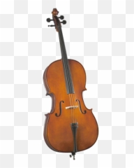 Valencia Student Cello - Cello Cremona Sc150 Png,Cello Png