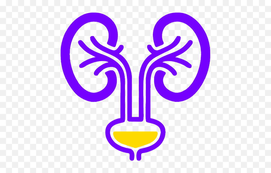 Pqtap U2013 Supporting The App - Nephrology Icon Png,Pee Icon