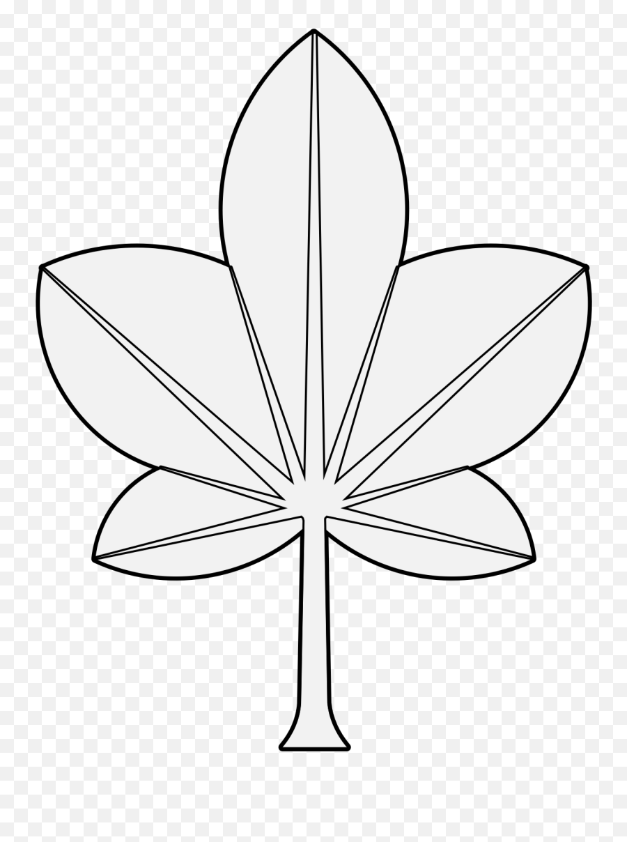 Ivy - Traceable Heraldic Art Flower Png,Ivy Png