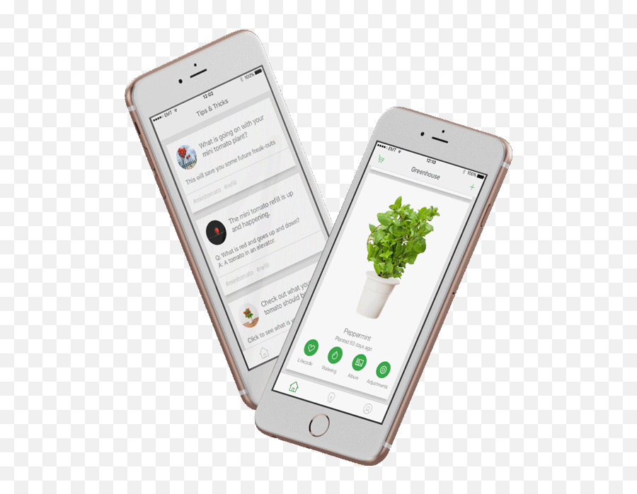 Urban Gardening App For Click U0026 Grow - Click For Mobile App Png,Iphone Tips Icon