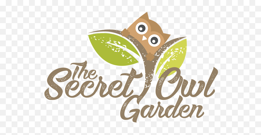 School Visits To The Secret Owl Garden Education Wales - Illustration Png,Owl Eyes Logo