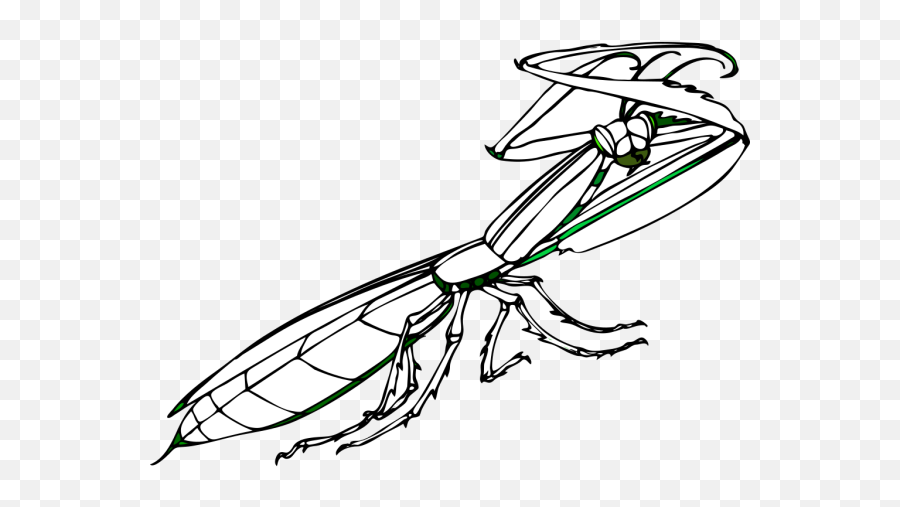 Praying Mantis Png Svg Clip Art For Web - Download Clip Art Transparent Praying Mantis Cartoon,Pray Icon Png