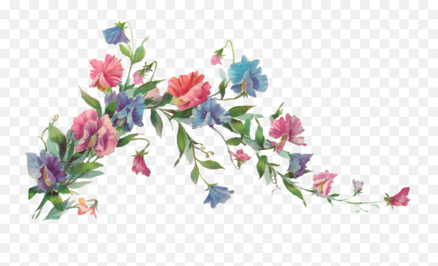 Floral Transparent Png Clipart Vectors - Vine With Flowers Painting,Floral Transparent