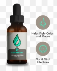 Elderberry Drops By Dao Png