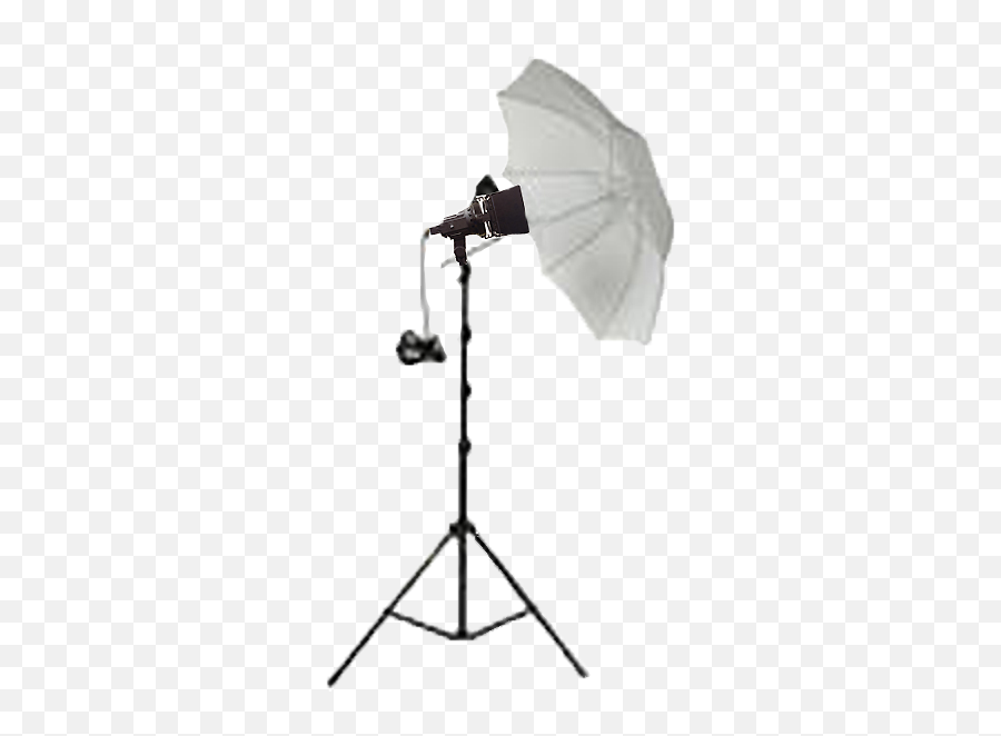 Studio Light In The Event Lighting And Design Services - Umbrella Png,Studio Light Png