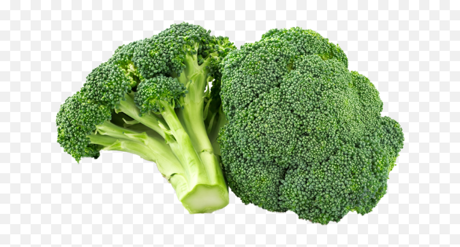 Organic Broccoli 1 Bunch - Brokkoli Transparent Png,Broccoli Transparent