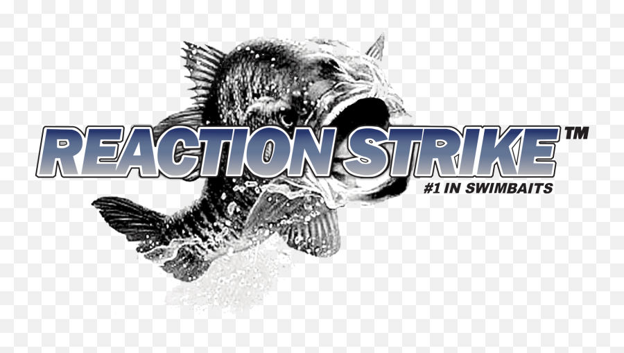 Bass Dr Advertise - Reaction Strike Png,Bass Fish Png