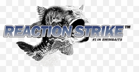 Bass Dr Advertise - Reaction Strike Png,Bass Fish Png