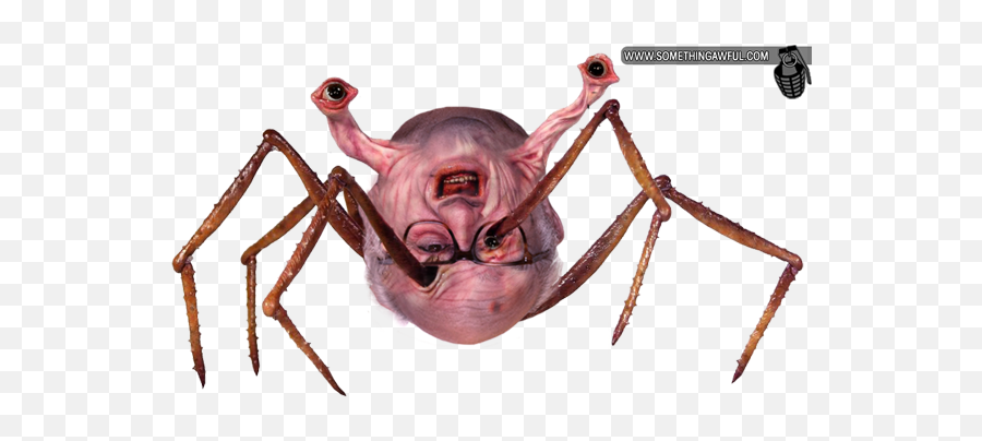 Danny Devito Is - Thing Spider Head Png,Danny Devito Transparent