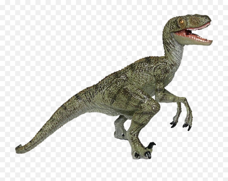 Download Jurassic Park Playfield - Raptor Dinosaur Transparent Background Png,Velociraptor Png