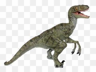 Download Jurassic Park Playfield - Raptor Dinosaur Transparent Background Png,Velociraptor Png