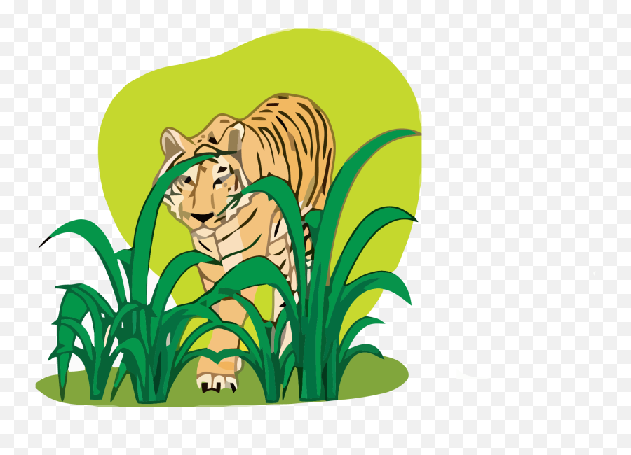 Tiger Clipart Png 06 - Plants And Animals Png,Plant Cartoon Png