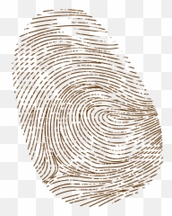 Brown Fingerprint Png Image With