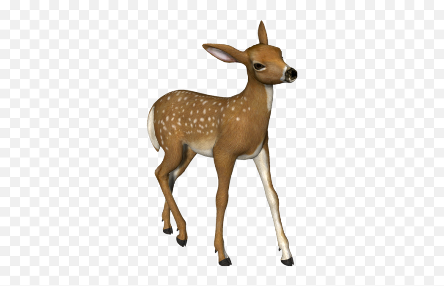 Deer Png Images - Deer Transparent,Deer Png